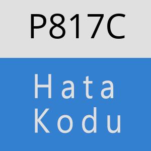 P817C hatasi