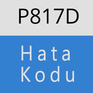 P817D hatasi