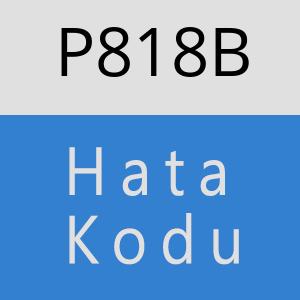 P818B hatasi