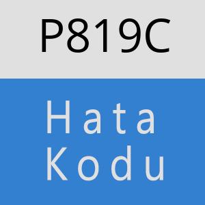 P819C hatasi