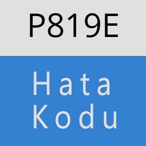 P819E hatasi