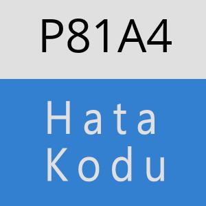 P81A4 hatasi