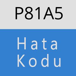 P81A5 hatasi