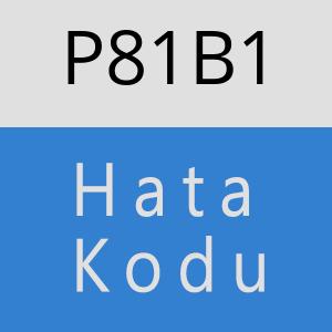 P81B1 hatasi