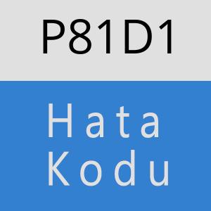 P81D1 hatasi