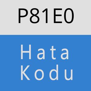 P81E0 hatasi