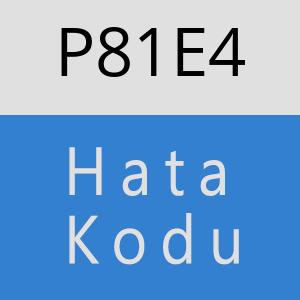 P81E4 hatasi