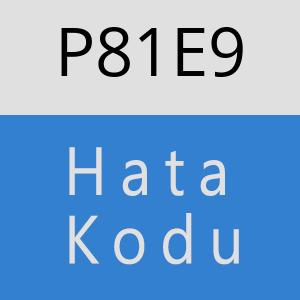 P81E9 hatasi