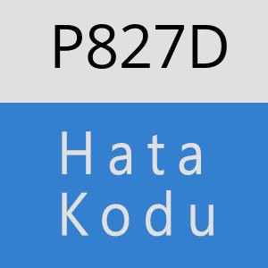 P827D hatasi