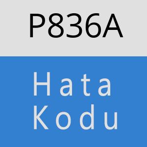 P836A hatasi