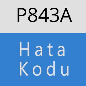 P843A hatasi