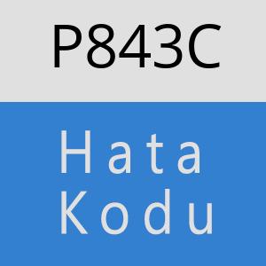 P843C hatasi