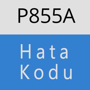 P855A hatasi