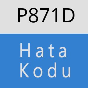 P871D hatasi