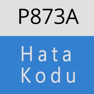 P873A hatasi