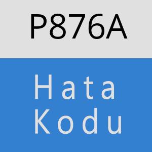 P876A hatasi