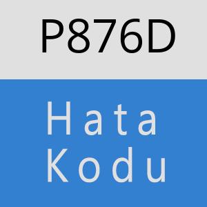 P876D hatasi