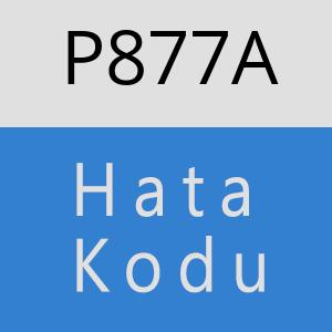 P877A hatasi