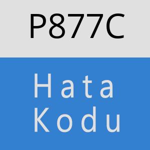 P877C hatasi