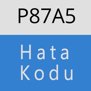 P87A5 hatasi