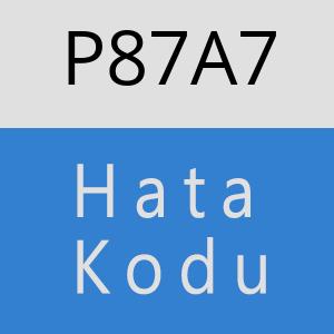 P87A7 hatasi