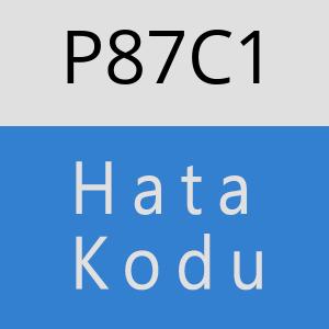 P87C1 hatasi