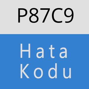 P87C9 hatasi