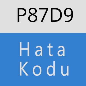 P87D9 hatasi