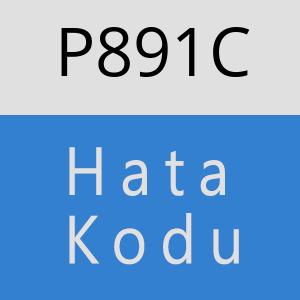 P891C hatasi