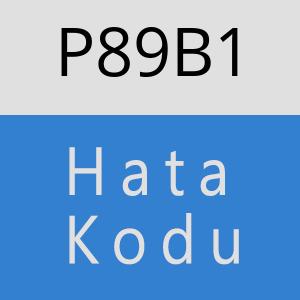 P89B1 hatasi