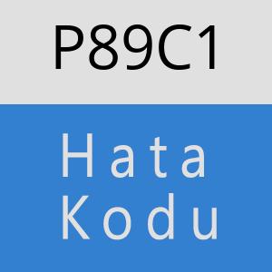 P89C1 hatasi