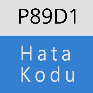 P89D1 hatasi