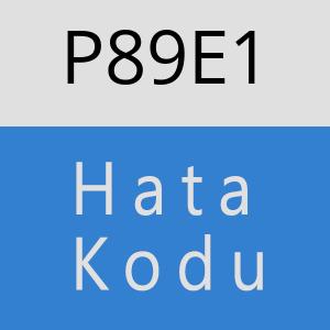 P89E1 hatasi