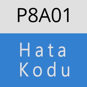 P8A01 hatasi