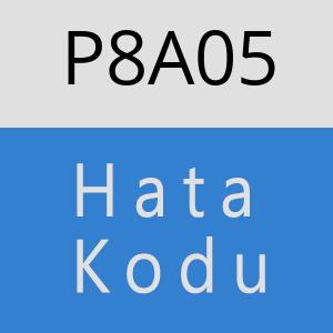 P8A05 hatasi