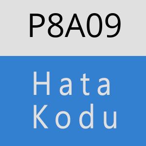 P8A09 hatasi