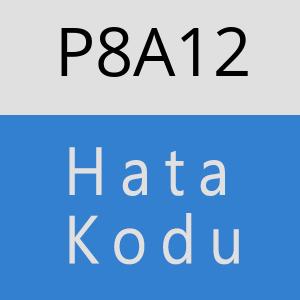 P8A12 hatasi