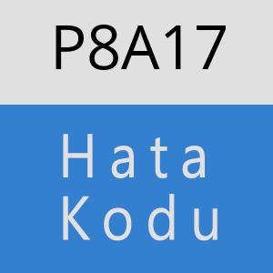 P8A17 hatasi