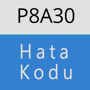 P8A30 hatasi