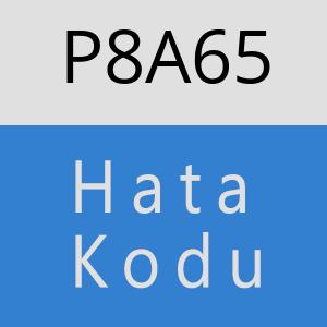 P8A65 hatasi