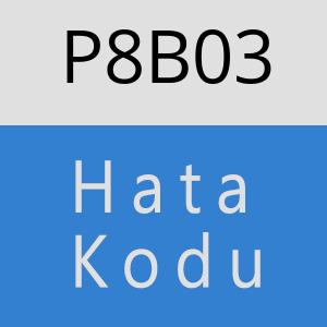 P8B03 hatasi