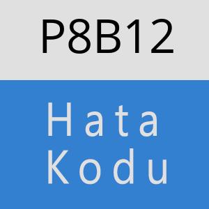 P8B12 hatasi