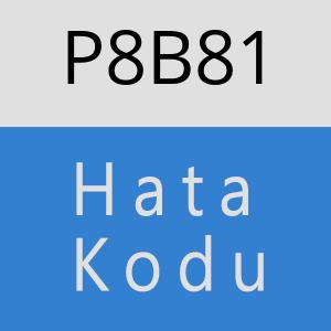 P8B81 hatasi