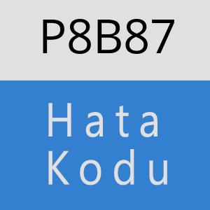 P8B87 hatasi