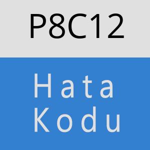 P8C12 hatasi