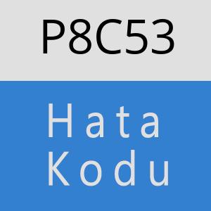 P8C53 hatasi