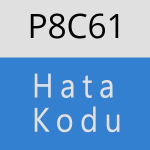 P8C61 hatasi