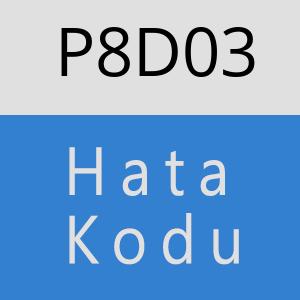 P8D03 hatasi