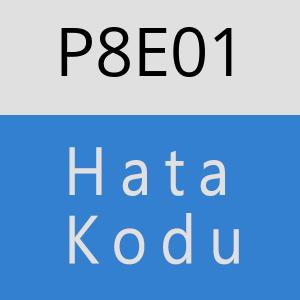 P8E01 hatasi