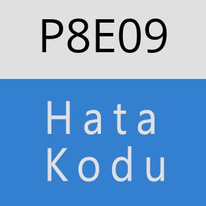 P8E09 hatasi